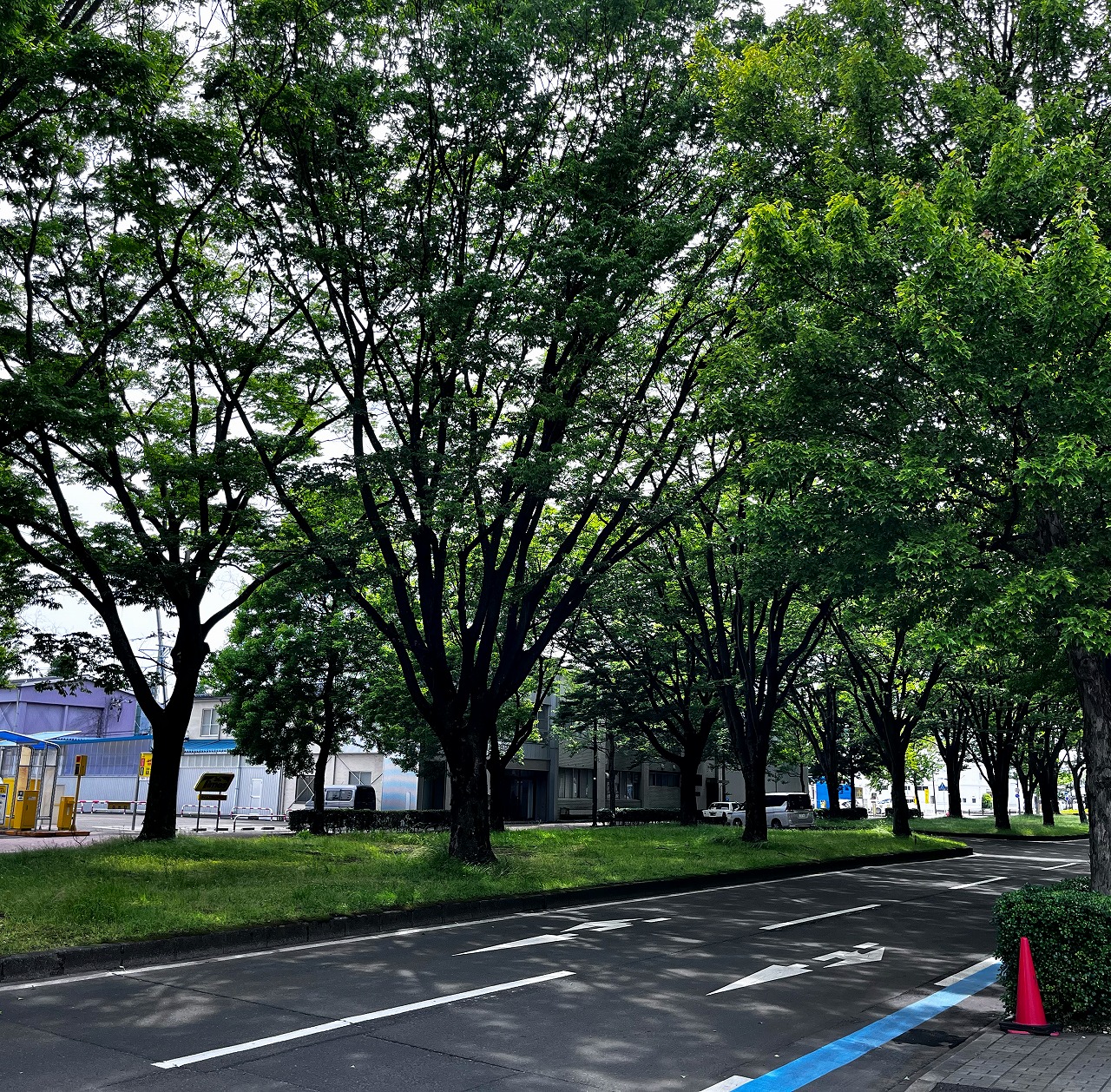 ���s��ы扵�����