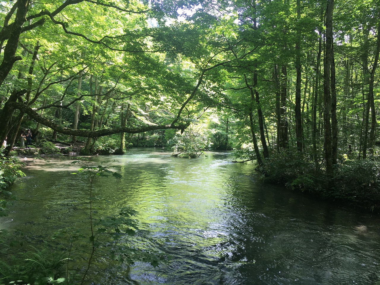 �X���������k��