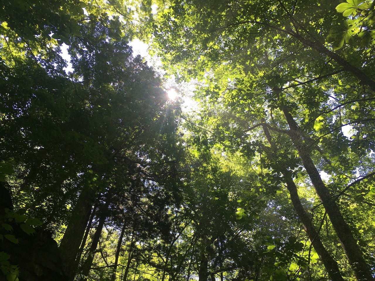 �H�c�s��H����