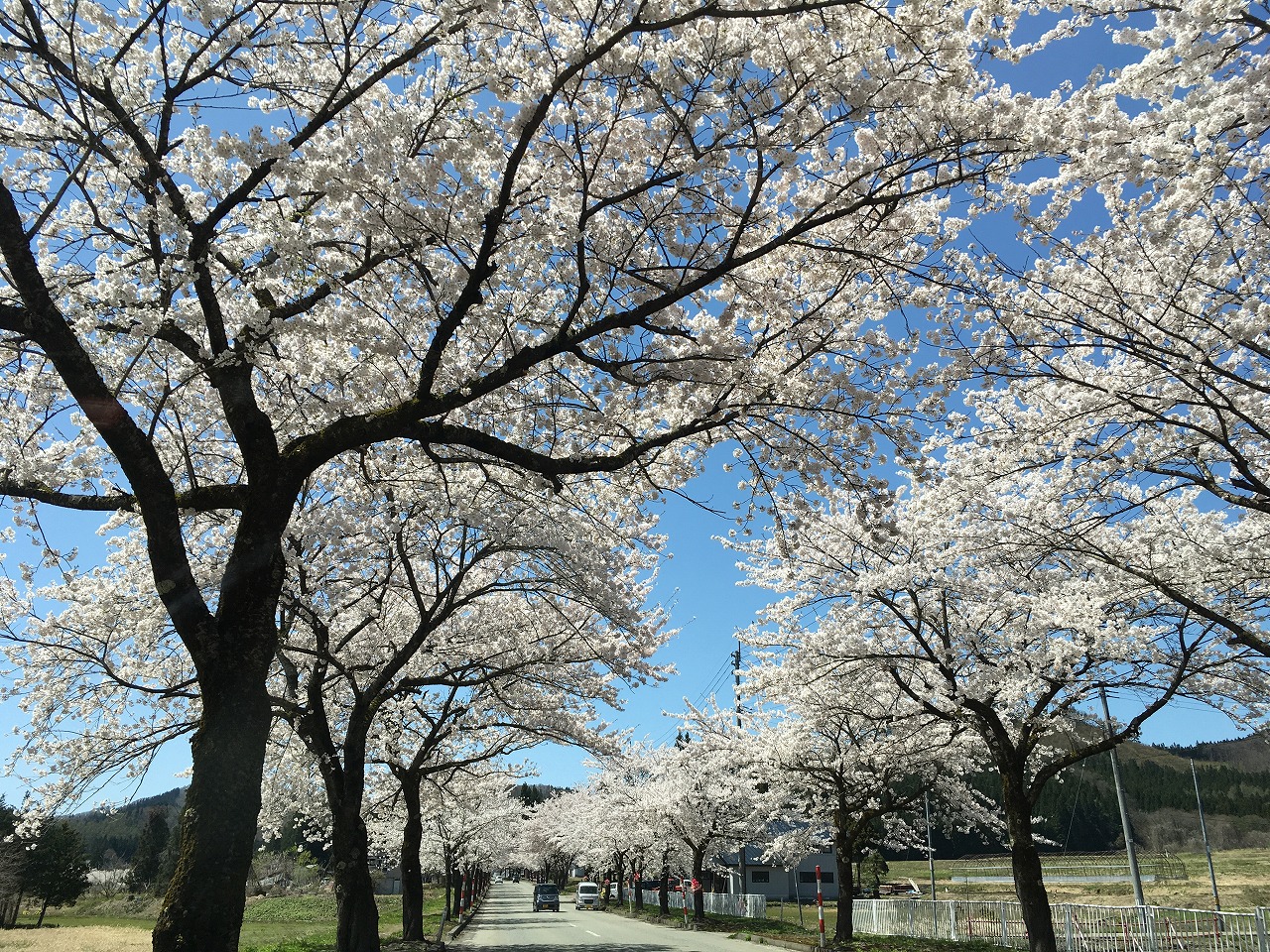 ���s����������