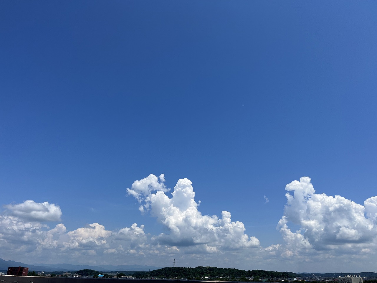 �H�c�s���Ƃ���ꏊ