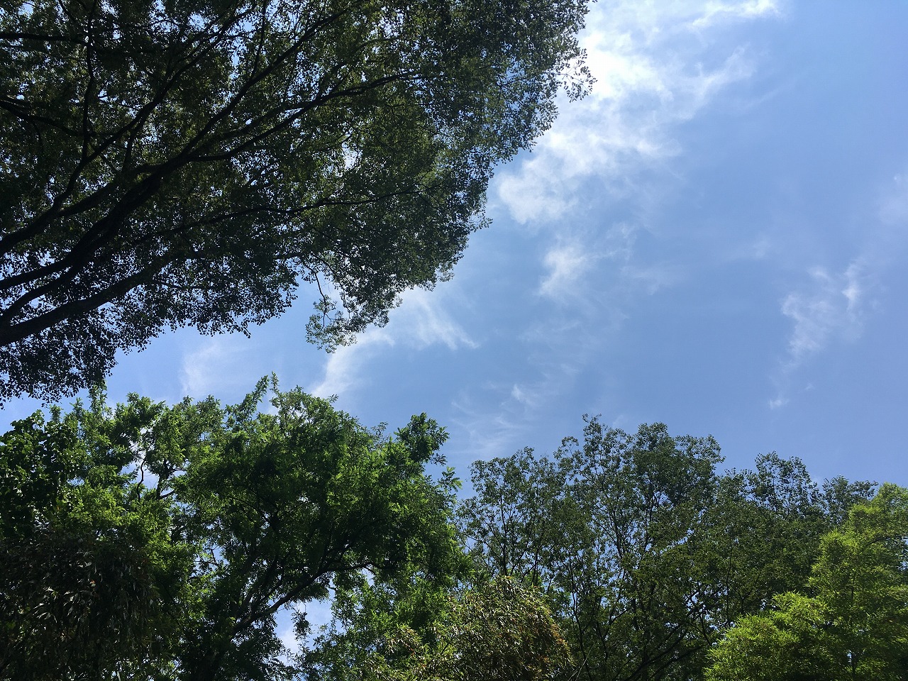 �H�c�s��H����