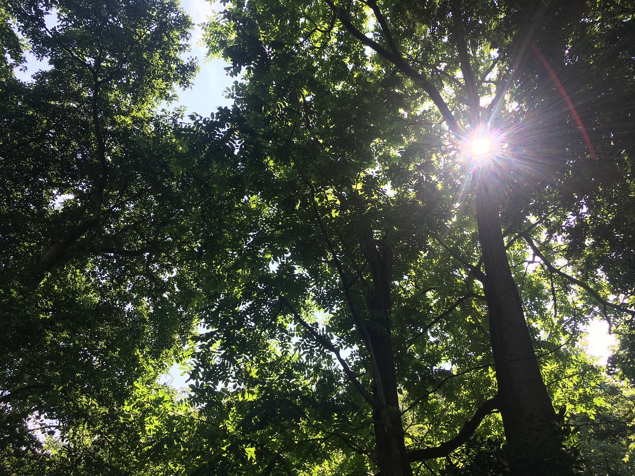 �H�c�s��H����