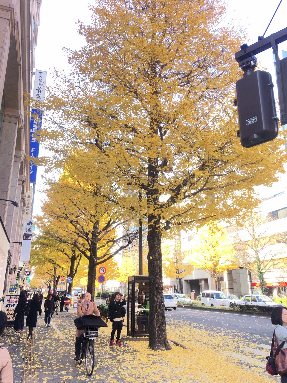 ���s�t��