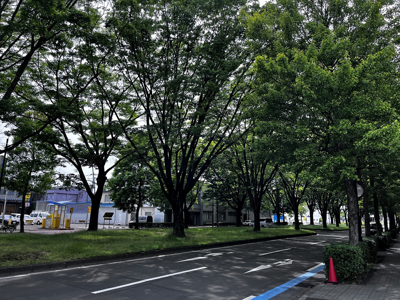 ���s�t��