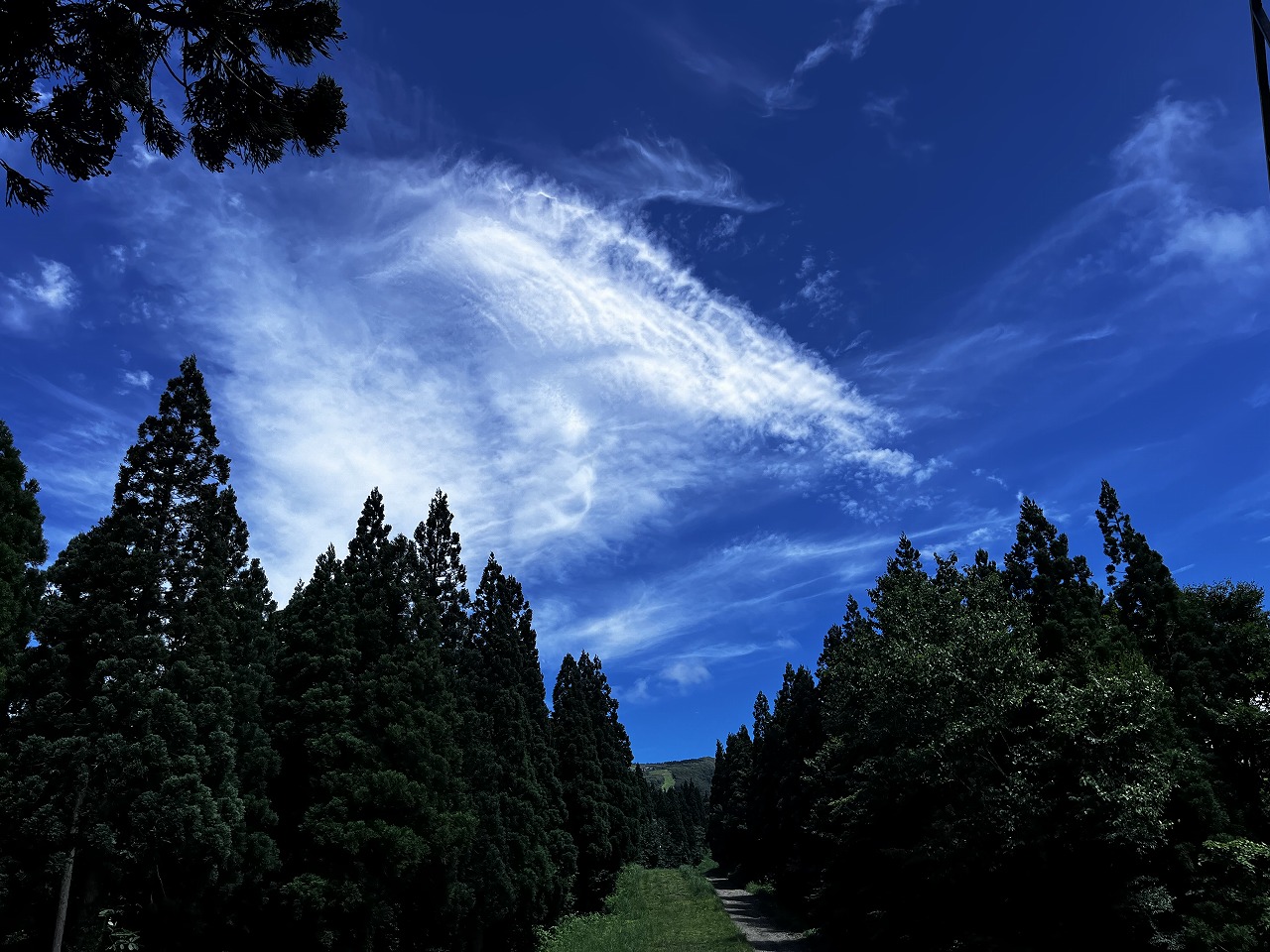 ���m�X�L�[��