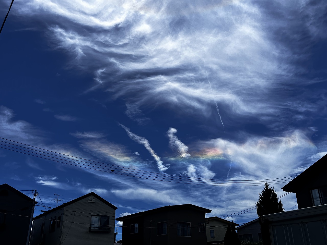 �H�c�s���Ƃ���ꏊ