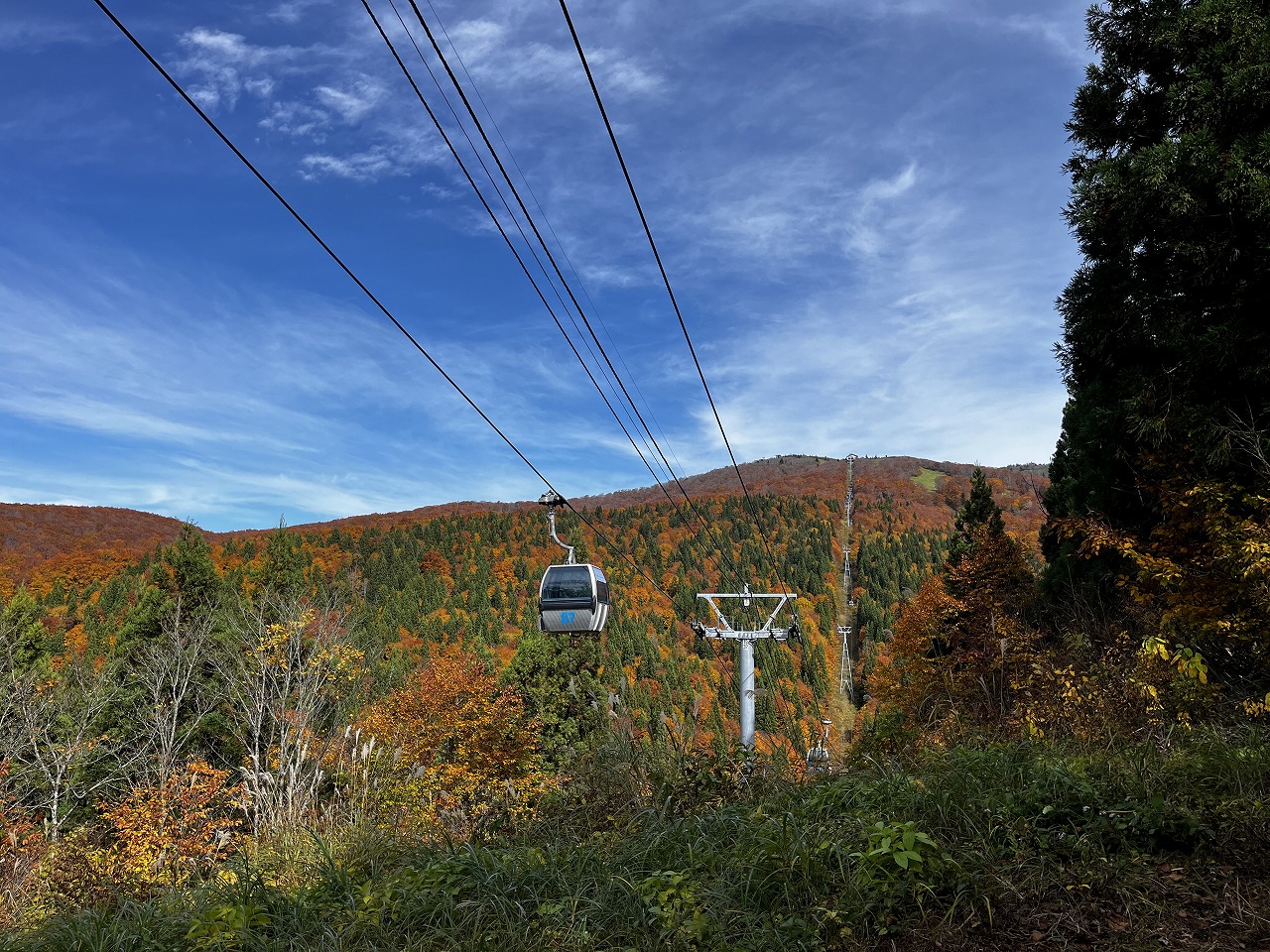 ���m�X�L�[��