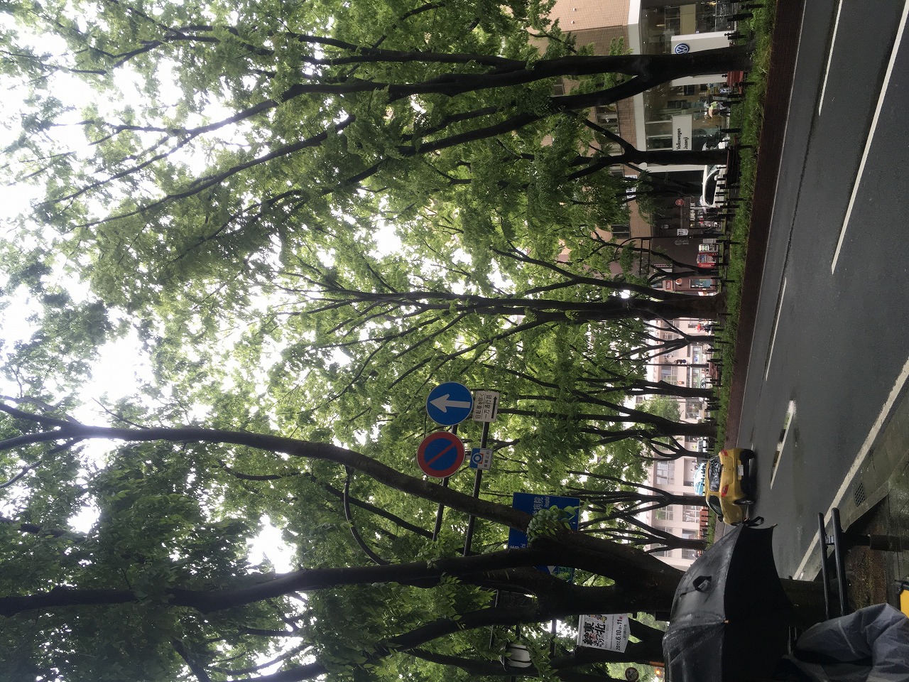 ���s�t��