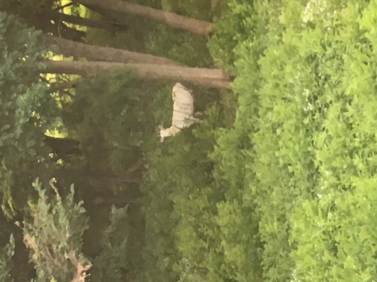 �{�錧���̂Ƃ���ꏊ