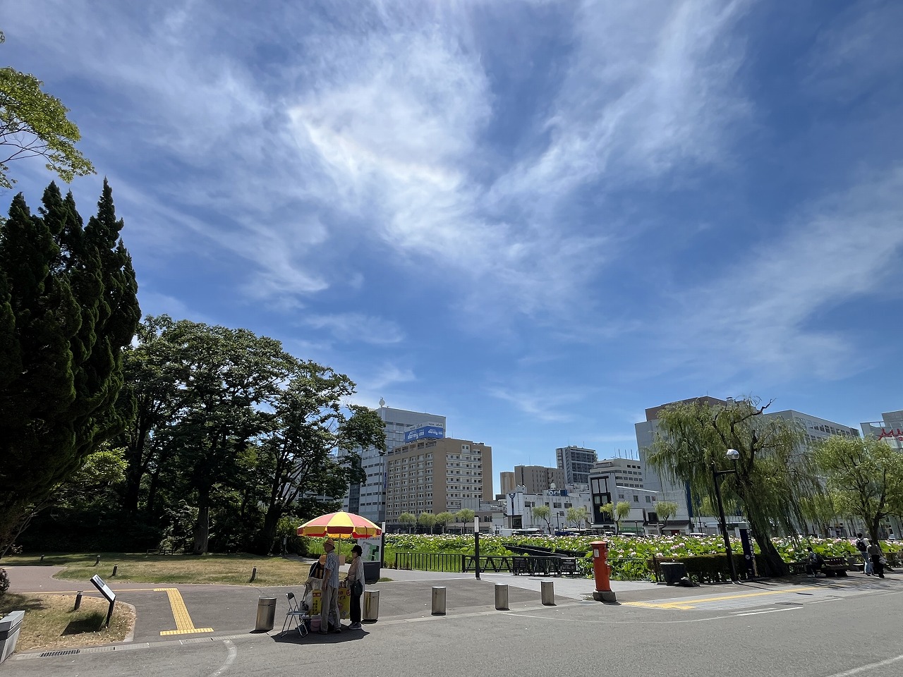 �H�c�s���y���ʂ�