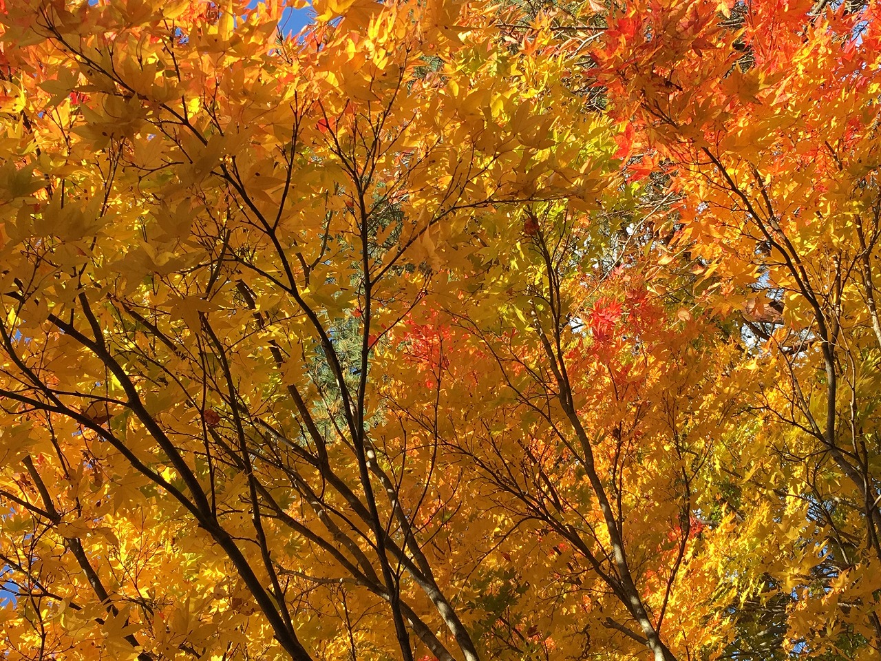 ���̉w���݂�����